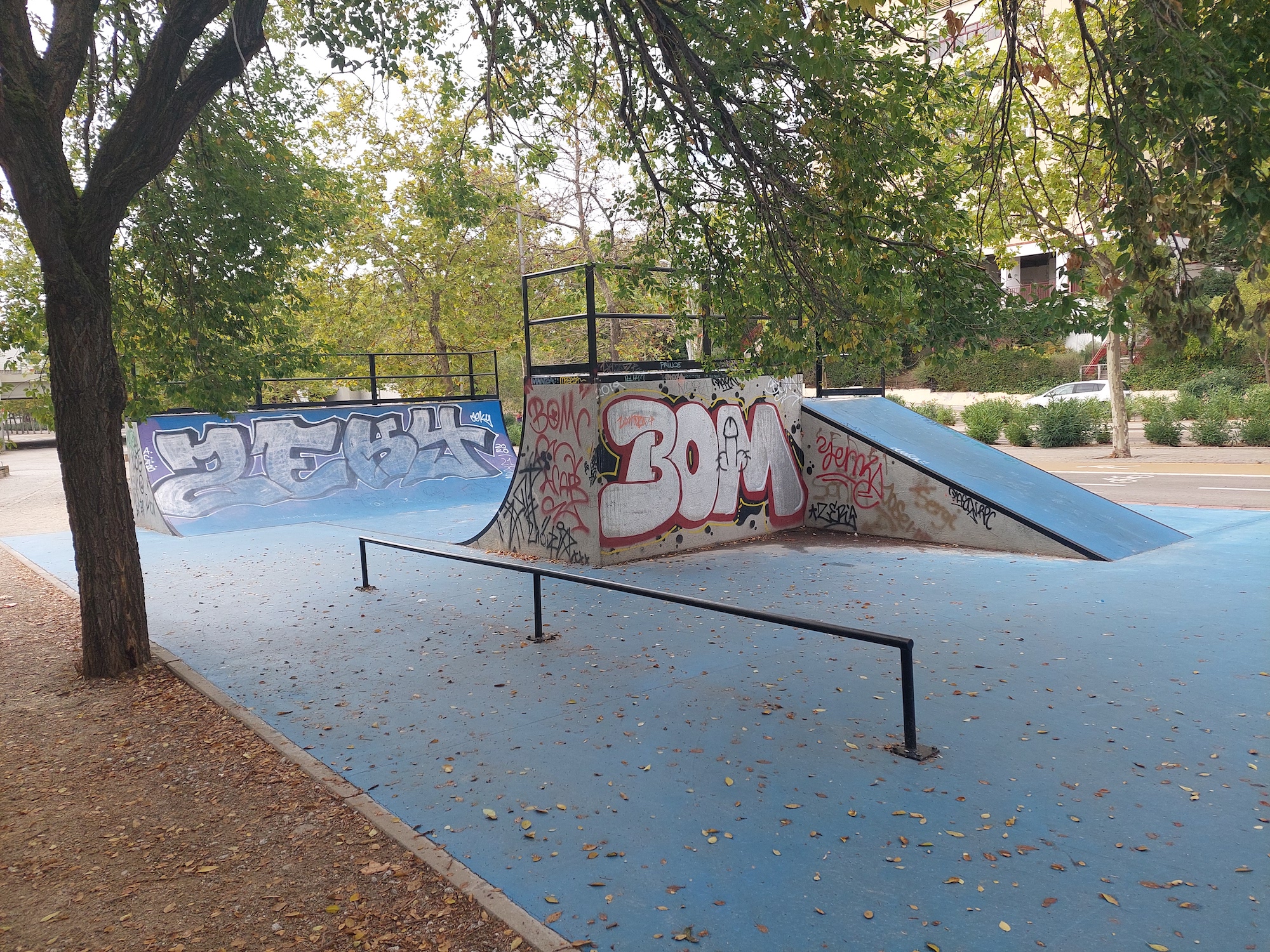 Pavones skatepark